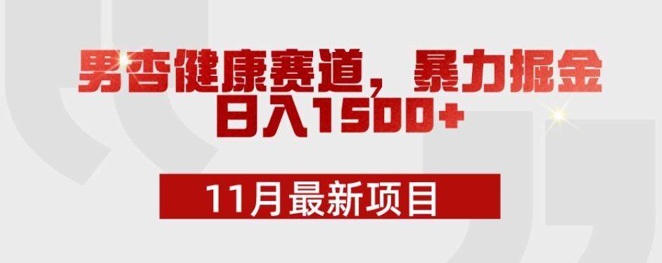 11月最新项目，男杏健康赛道，暴力掘金，日入1500+-兵兵资源