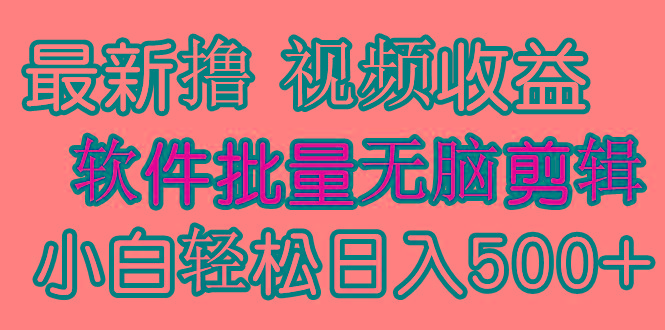 (9569期)发视频撸收益，软件无脑批量剪辑，第一天发第二天就有钱-兵兵资源