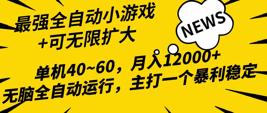 (10046期)2024最新全网独家小游戏全自动，单机40~60,稳定躺赚，小白都能月入过万-兵兵资源