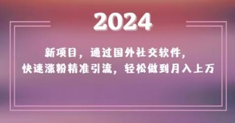 2024新项目，通过国外社交软件，快速涨粉精准引流，轻松做到月入上万【揭秘】-兵兵资源