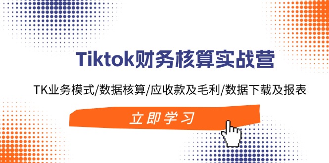 Tiktok财务核算实战营：TK业务模式/数据核算/应收款及毛利/数据下载及报表-兵兵资源