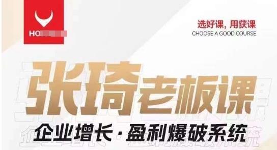 【组合课】张琦张琦老板企业增长·盈利爆破系统（直播专享）-兵兵资源