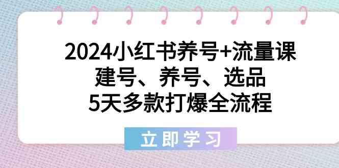 2024小红书养号+流量课：建号、养号、选品，5天多款打爆全流程-兵兵资源