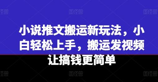 小说推文搬运新玩法，小白轻松上手，搬运发视频让搞钱更简单-兵兵资源