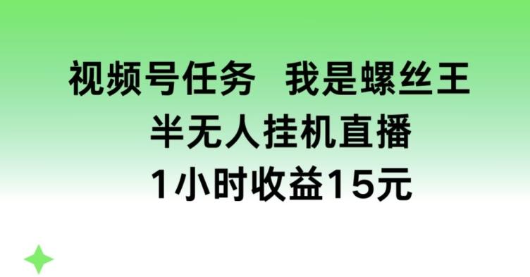 视频号任务，我是螺丝王， 半无人挂机1小时收益15元【揭秘】-兵兵资源