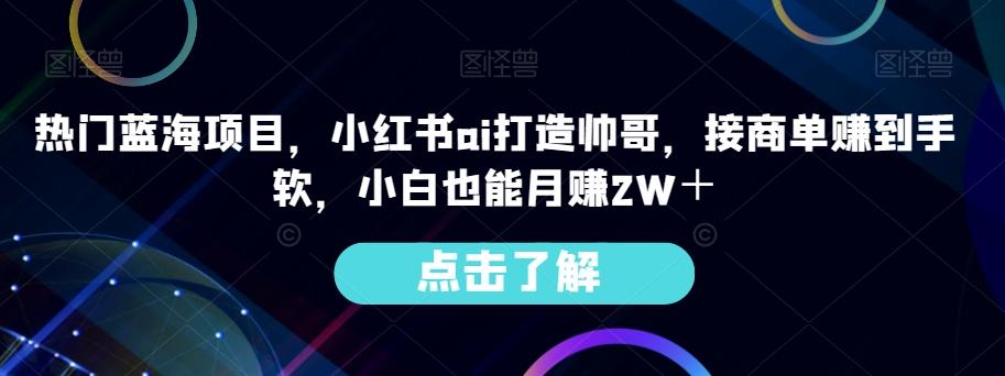 热门蓝海项目，小红书ai打造帅哥，接商单赚到手软，小白也能月赚2W＋-兵兵资源