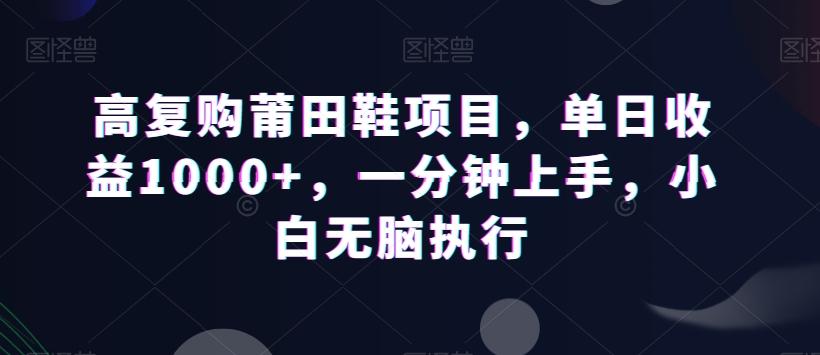 高复购莆田鞋项目，单日收益1000+，一分钟上手，小白无脑执行-兵兵资源