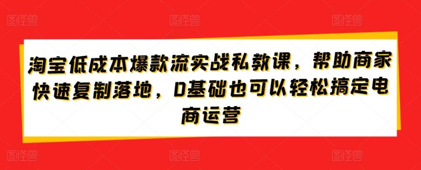 淘宝低成本爆款流实战私教课，帮助商家快速复制落地，0基础也可以轻松搞定电商运营-兵兵资源