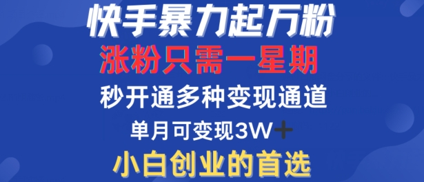快手暴力起万粉，涨粉只需一星期，多种变现模式，直接秒开万合，单月变现过W【揭秘】-兵兵资源