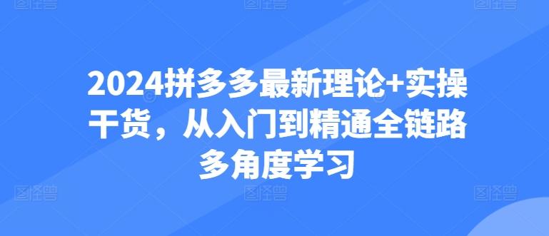 2024拼多多最新理论+实操干货，从入门到精通全链路多角度学习-兵兵资源