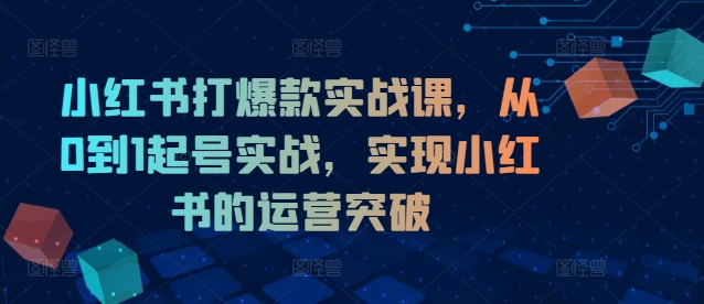 小红书打爆款实战课，从0到1起号实战，实现小红书的运营突破-兵兵资源