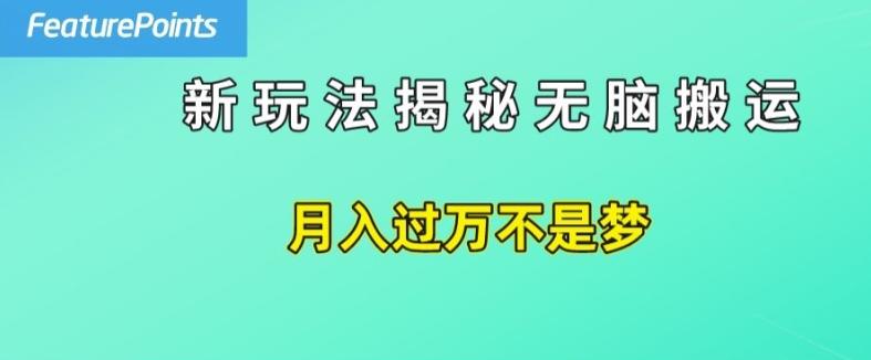 简单操作，每天50美元收入，搬运就是赚钱的秘诀【揭秘】-兵兵资源