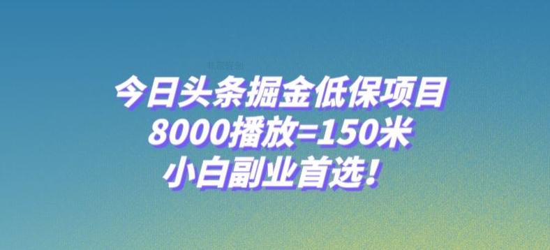 今日头条掘金低保项目，8000播放=150米，小白副业首选【揭秘】-兵兵资源