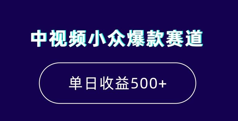 中视频小众爆款赛道，7天涨粉5万+，小白也能无脑操作，轻松月入上万【揭秘】-兵兵资源