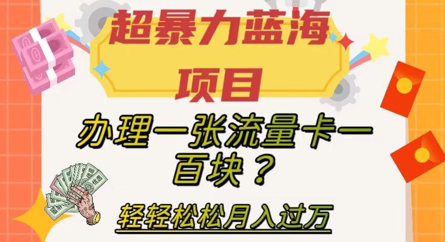 超暴力蓝海项目，办理一张流量卡一百块？轻轻松松月入过万，保姆级教程【揭秘】-兵兵资源