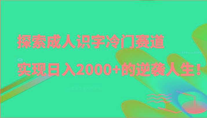 探索成人识字冷门赛道，实现日入2000+的逆袭人生！-兵兵资源