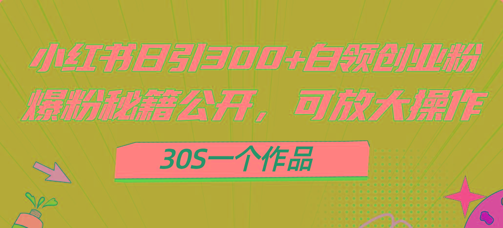 小红书日引300+高质白领创业粉，可放大操作，爆粉秘籍！30s一个作品-兵兵资源