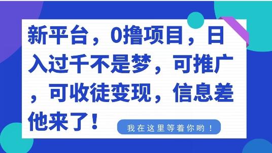 不要再花冤枉钱了，0撸项目，每天坚持，稳定1000+-兵兵资源