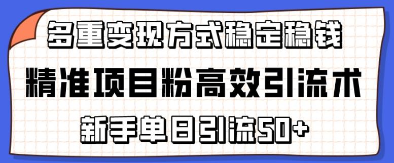 精准项目粉高效引流术，新手单日引流50+，多重变现方式稳定赚钱【揭秘】-兵兵资源