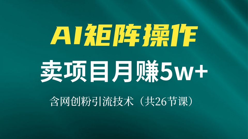 网创IP打造课，借助AI卖项目月赚5万+，含引流技术(共26节课-兵兵资源