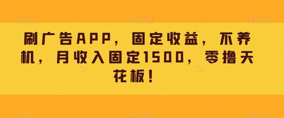 刷广告APP，固定收益，不养机，月收入固定1500，零撸天花板！-兵兵资源