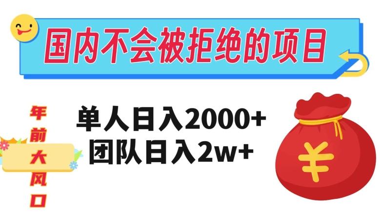 在国内不怕被拒绝的项目，单人日入2000，团队日入20000+【揭秘】-兵兵资源