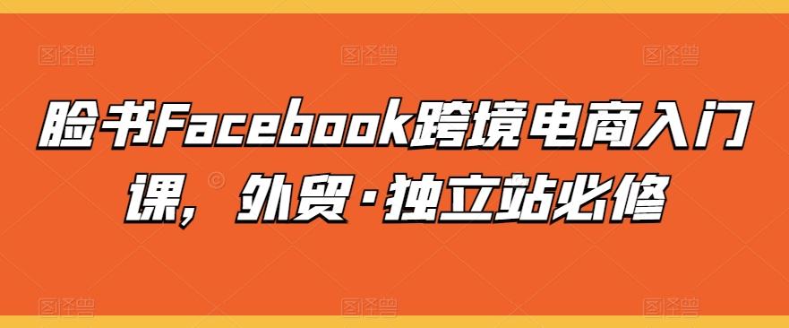 脸书Facebook跨境电商入门课，外贸·独立站必修-兵兵资源