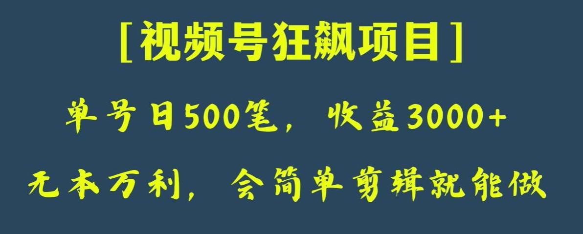 日收款500笔，纯利润3000+，视频号狂飙项目，会简单剪辑就能做【揭秘】-兵兵资源