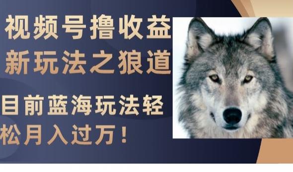 视频号撸收益新玩法之狼道，目前蓝海玩法，轻松月入过万【揭秘】-兵兵资源