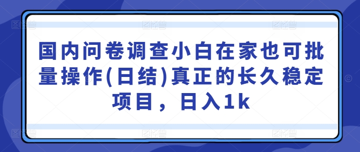 国内问卷调查小白在家也可批量操作(日结)真正的长久稳定项目，日入1k【揭秘】-兵兵资源