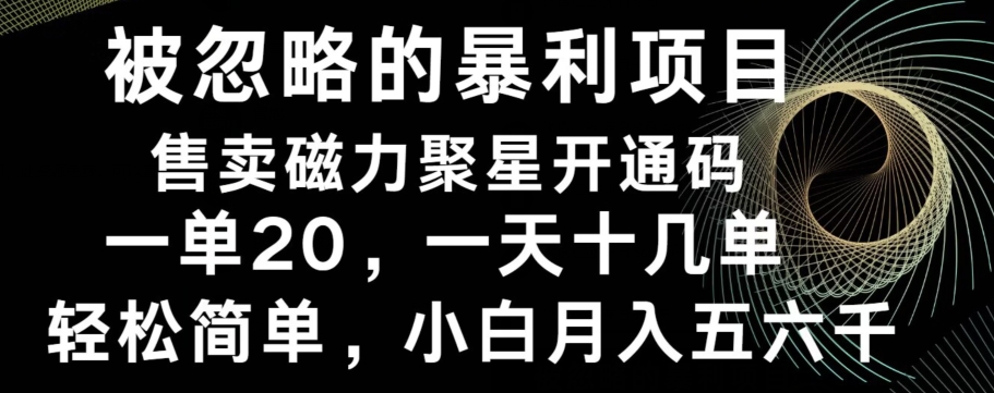 被忽略的暴利项目！售卖磁力聚星开通码，一单20，一天十几单，轻松月入五六千-兵兵资源