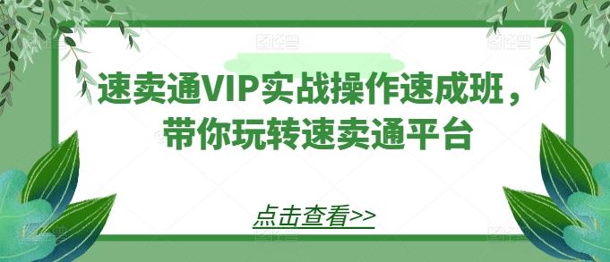 速卖通VIP实战操作速成班，带你玩转速卖通平台-兵兵资源