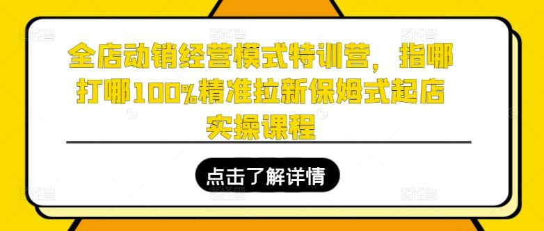 全店动销经营模式特训营，指哪打哪100%精准拉新保姆式起店实操课程-兵兵资源