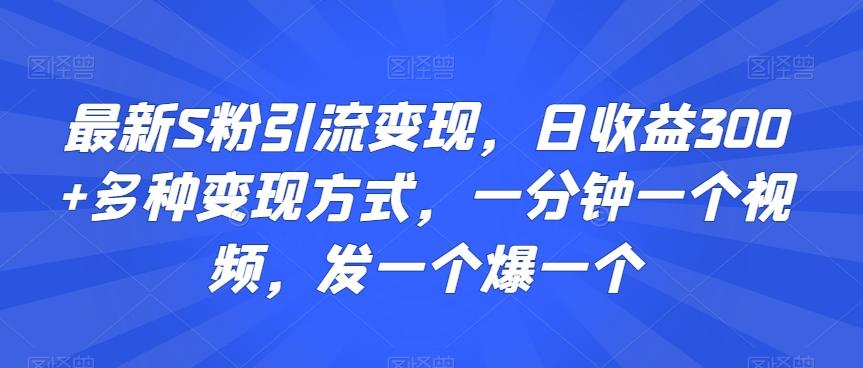 最新S粉引流变现，日收益300+多种变现方式，一分钟一个视频，发一个爆一个【揭秘】-兵兵资源