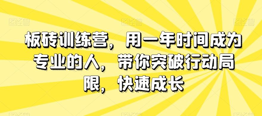 板砖训练营，用一年时间成为专业的人，带你突破行动局限，快速成长-兵兵资源