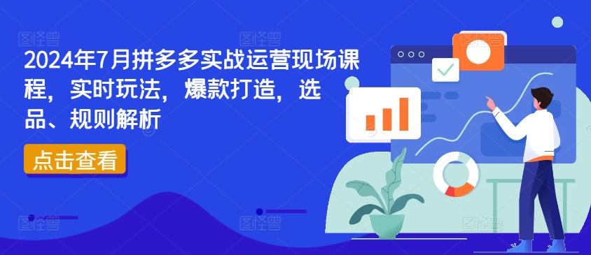 2024年7月拼多多实战运营现场课程，实时玩法，爆款打造，选品、规则解析-兵兵资源