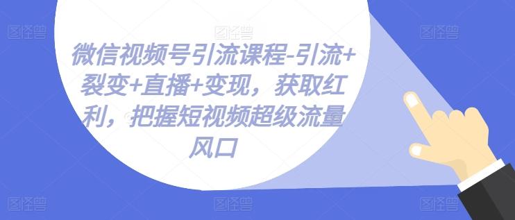 微信视频号引流课程-引流+裂变+直播+变现，获取红利，把握短视频超级流量风口-兵兵资源