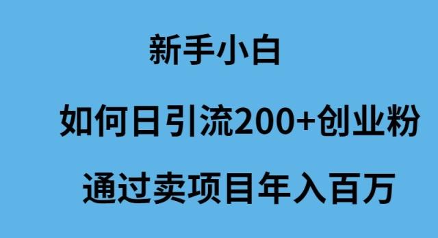 (9668期)新手小白如何日引流200+创业粉通过卖项目年入百万-兵兵资源