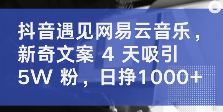 抖音遇见网易云音乐，新奇文案 4 天吸引 5W 粉，日挣1000+【揭秘】-兵兵资源