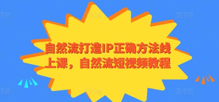 自然流打造IP正确方法线上课，自然流短视频教程-兵兵资源