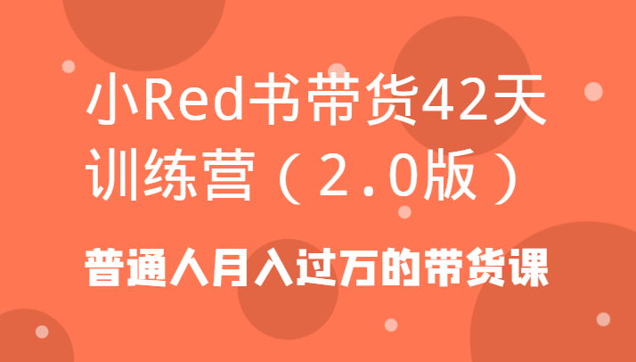 小Red书带货42天训练营(2.0版)普通人月入过万的带货课-兵兵资源