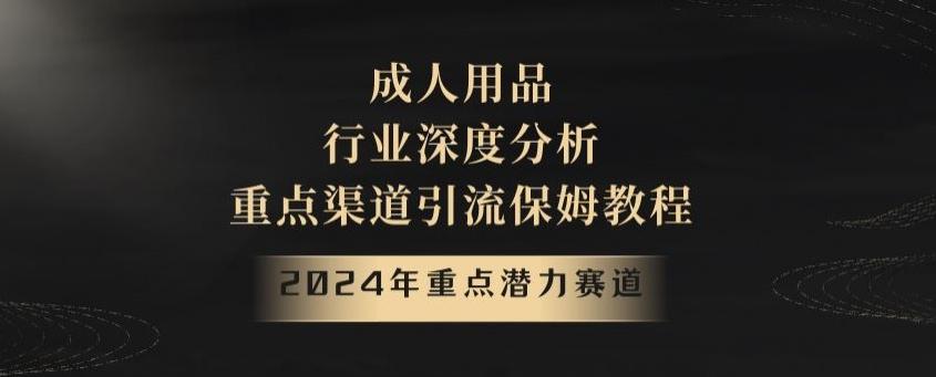 2024年重点潜力赛道，成人用品行业深度分析，重点渠道引流保姆教程【揭秘】-兵兵资源