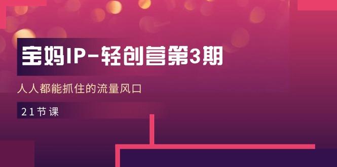 宝妈IP-轻创营第3期，人人都能抓住的流量风口(21节课-兵兵资源