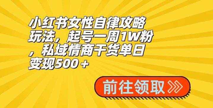 小红书女性自律攻略玩法，起号一周1W粉，私域情商干货单日变现500＋-兵兵资源