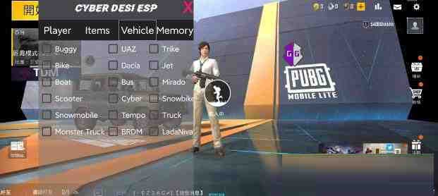 PUBG轻量老外裸奔绘制+自瞄 支持ROOT和框架 里面有全局离线-兵兵资源