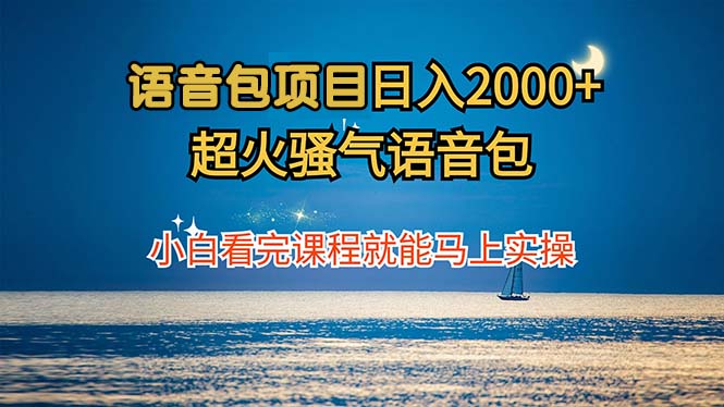 语音包项目 日入2000+ 超火骚气语音包小白看完课程就能马上实操-兵兵资源