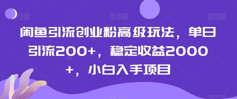 闲鱼引流创业粉高级玩法，单日引流200+，稳定收益2000+，小白入手项目-兵兵资源