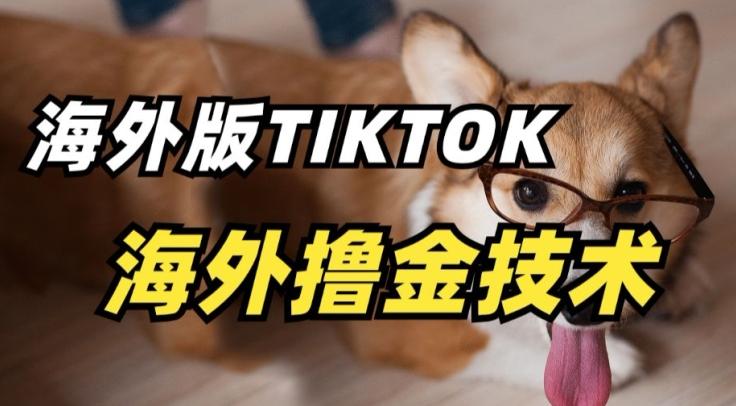 抖音海外版tiktok撸金技术，这个风口行业，赚钱真的不难【揭秘】-兵兵资源