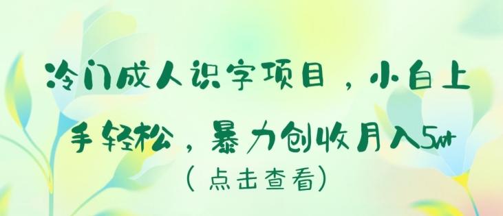 冷门成人识字项目，小白上手轻松，暴力创收月入5w+【揭秘】-兵兵资源