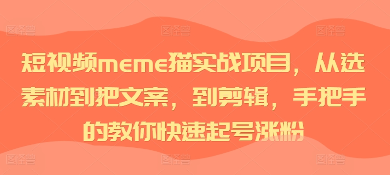 短视频meme猫实战项目，从选素材到把文案，到剪辑，手把手的教你快速起号涨粉-兵兵资源